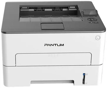 Замена прокладки на принтере Pantum P3300DW в Москве